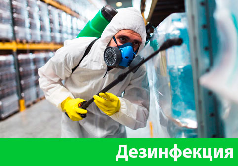 Дезинфекция в городе Новороссийск