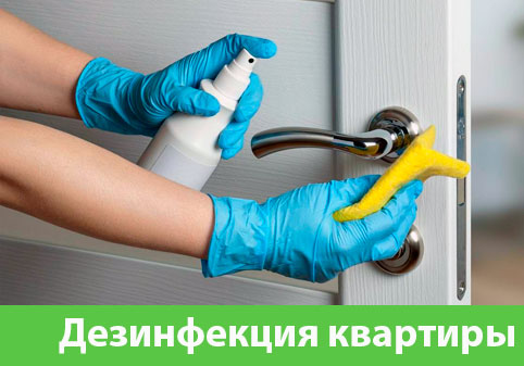Дезинфекция квартиры в городе Новороссийск