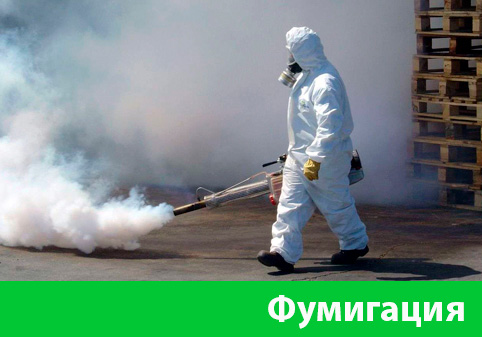 Фумигация в городе Новороссийск