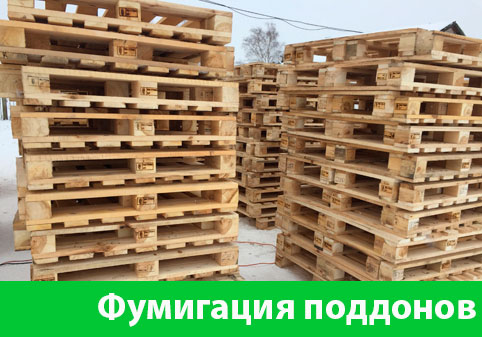 Фумигация поддонов в городе Новороссийск