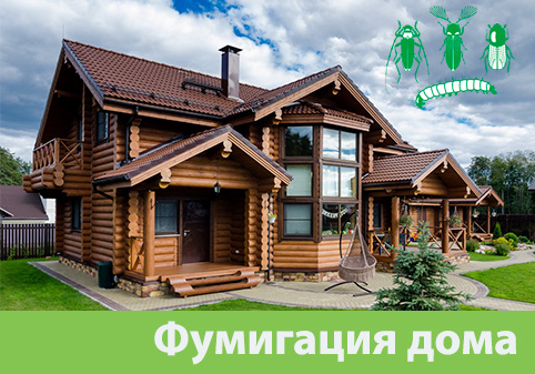 Преимущества обработки газом в городе Новороссийск