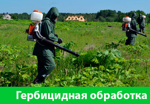Гербицидная обработка в городе Новороссийск