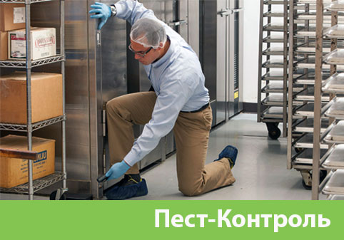 Пэст-Контроль в городе Новороссийск