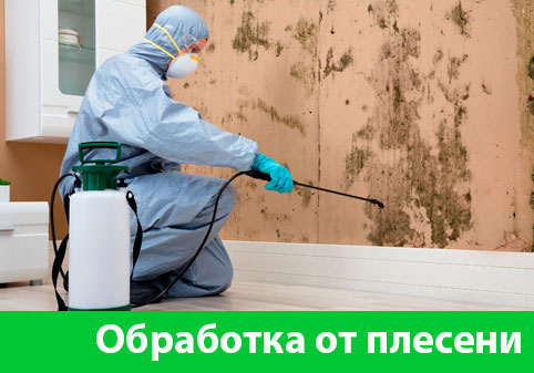 Обработка от плесени в городе Новороссийск