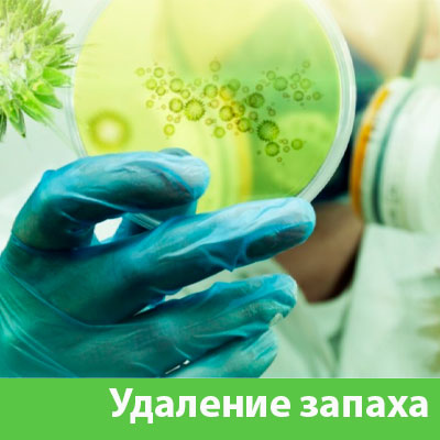 Удаление запахов в Новороссийске