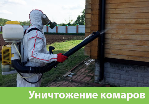 Уничтожение комаров в городе Новороссийск